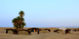 My First Time Camping in the Sahara Desert