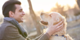 How I Handled My Pet’s Anxiety During Our Long Road Trip